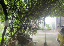 CHỦ CẦN BÁN NHANH-100M ĐẤT 8TỶ-BẮC CẦU QUẬN LONG BIÊN-GIÁ TỐT-TIỆN ÍCH ĐẦY ĐỦ