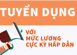 CTY NHÔM VẠN XUÂN THÀNH tuyển LĐPT, kỹ thuật, các vị trí sau
