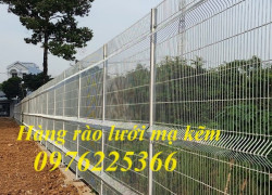 Lưới thép hàng rào mạ kẽm / Xưởng sản xuất hàng rào lưới thép giá rẻ