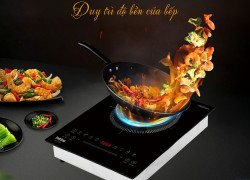 Bếp từ đơn âm TK 209I TaKing - Nấu ăn nhanh chóng, tiết kiệm thời gian