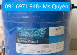 Men vi sinh Bacillus Clausii giá sỉ
