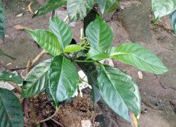 Cho thuê nhà nguyên căn gần bến xe