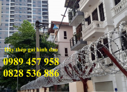 Lắp đặt dây thép gai hình dao, Dây kẽm gai hình dao 60cm, 80cm