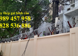 Lắp đặt dây thép gai hình dao, Dây kẽm gai hình dao 60cm, 80cm