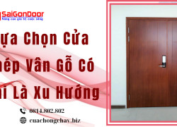 Lựa Chọn Cửa Thép Vân Gỗ Có Phải Là Xu Hướng
