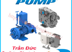 Bơm cánh gạt Viking  | Nhà cung cấp Viking pump Việt Nam