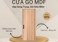 Cửa Gỗ Công Nghiệp MDF - Lựa Chọn Thông Minh Cho Cuộc Sống Hiện Đại