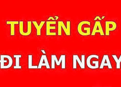 Cần tuyển 2 NV kỹ thuật, trình độ tốt nghiệp PTTH đi làm tại Q12