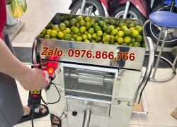 NÊN MUA MÁY ÉP CHANH TĂC (VẮT QUẤT) LOẠI NÀO - MÁY ÉP TẮC TẤN PHÁT V400 MẪU MỚI 2025