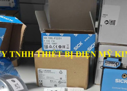 Cảm biến Sick WL100L-F2231