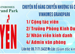 Tuyển gấp trưởng phòng KD, NVKD, NV telesales & Quản Trị Viên văn phòng