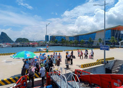 DUY NHẤT LÔ ĐẤT GẦN 11.000M² TẠI CÔ TÔ, GIÁ CHỈ TỪ 1 TRIỆU/M², CƠ HỘI CHO NHÀ ĐẦU TƯ NHẠY BÉN