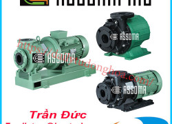 Bơm hóa chất Assoma | Assoma chemical pump
