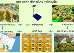 QUẢN LÝ TOÀN DIỆN TỪ THU MUA – SẢN XUẤT – BÁN HÀNG NÔNG SẢN
