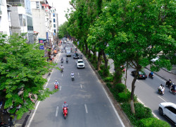 Bán nhà Láng, Đống Đa, ngõ ba gác, gần phố 77m2, 4 tầng, Mt 4.4m, chỉ 19.1 tỷ