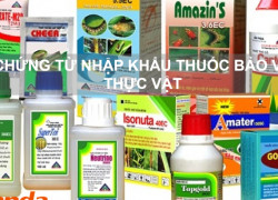 Chứng từ nhập khẩu thuốc bảo vệ Thực Vật