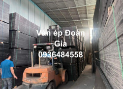 ván ép cốt pha phủ phim