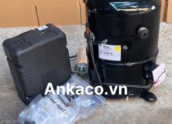 0911.219.479, cung cấp (block) máy nén lạnh Tecumseh 2.6HP R404 FH4531Z