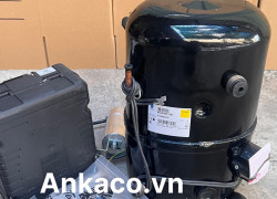 0911.219.479, cung cấp (block) máy nén lạnh Tecumseh 2.6HP R404 FH4531Z