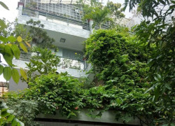 Bán Biệt Thự Sân Vườn Khu VIP Sân Bay - HXT Trường Sơn, Phường 4, Tân Bình 54 tỷ TL