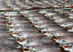 Món gỏi xoài khô cá sặc – Giao lưu cuối tuần với anh em là phải có món này!