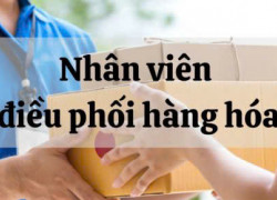 Tuyển NV điều phối hàng hoá ca đêm & tài xế bằng C làm Dĩ An BD