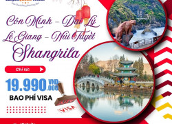 Hè 2025 – Vi vu Hàn Quốc, Đánh Thức Trái Tim Xứ Kim Chi