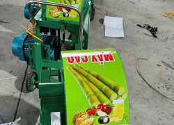 Máy cạo mía sạch không dập
