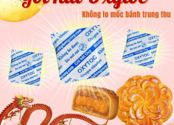 Gói hút oxy Oxytoc bảo vệ bánh trung thu