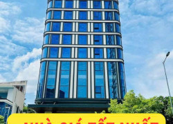 Bán GẤP tài sản hiếm đường Nguyễn Thái Bình, Q1 - DT: 12m x 24m - CTXD hầm 9 tầng 95 tỷ