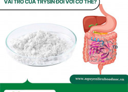 Tác dụng của Enzym Trypsin Biogreen với cơ thể