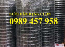 Lưới hàn mạ kẽm nhúng nóng D1, Lưới hàn nhúng chì D3 50x50