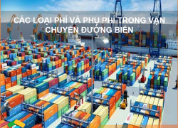 Các loại phí và phụ phí trong Vận Chuyển Đường Biển