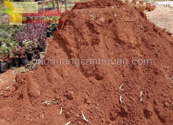BÀI 1:Bán Đất màu trồng cây, đất đỏ bazan ở Đồng Nai, HCM SLL