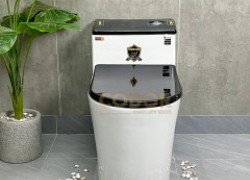 Bồn Cầu 1 Khối Két Nước Lùn Trắng Đen CODOR BC9222