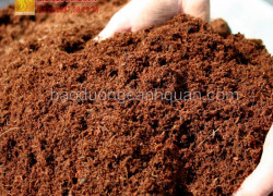 Bán Đất màu trồng cây, đất đỏ bazan ở Đồng Nai, HCM SLL