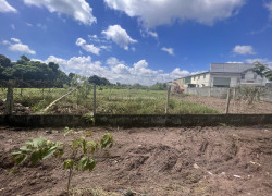 Bán Gấp 1000m2 Đất Vườn Giá 210 Triệu Liên Hệ 0706320631 gặp A An