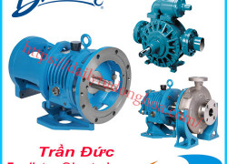 Bơm ly tâm Blackmer | Blackmer centrifugal pump