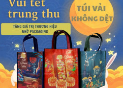 Cơ sở cung cấp túi vải không dệt tại Vĩnh Long