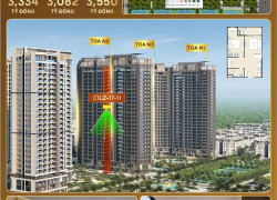 Bán căn hộ cao cấp Masteri Trinity Square – Vinhomes Ocean Park 2  1PN+, View đẹp, Giá chỉ từ 3 tỷ