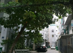 Bán nhà Gò Vấp, hẻm xe hơi Dương Quảng Hàm, ngay ĐH Văn Lang, 54m², 7 PN, 18tr/th, 6.3 tỷ TL