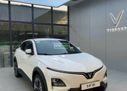 VF6 trắng tinh