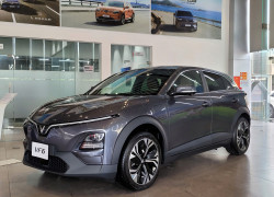 VF6 màu xám lông chuột