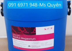 Mua bán men lợi khuẩn Bacillus Megaterium giá rẻ