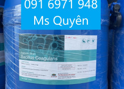 Nơi mua lợi khuẩn Bacillus Coagulans giá sỉ