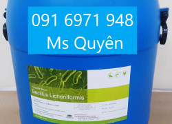 Mua bán vi sinh Bacillus licheniformis đơn dòng