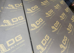 Ván Ép Phủ Phim giá rẻ 200k tại Hòa BÌnh