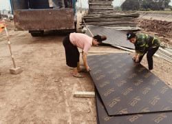 Ván Ép phủ phim giá rẻ 200k- Quảng Ninh