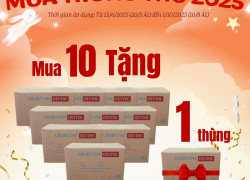 Bảo quản bánh trung thu-Gói hút oxy 30cc