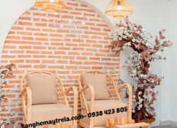 Ghế mây đọc sách- Ghế đơn mây nệm dày